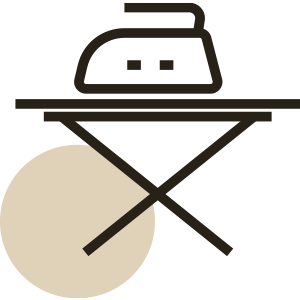 Clothes Iron